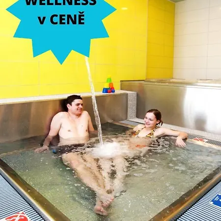 Horský Friesovy Boudy